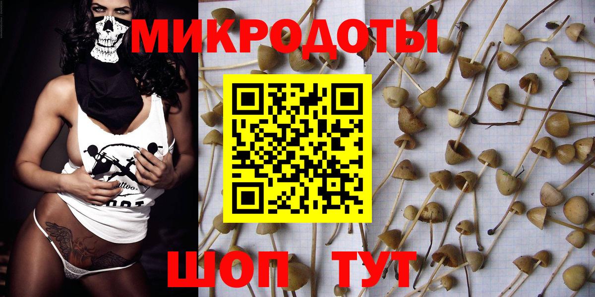 Кольчугино  Галлюциногенные грибы Psilocybe  Вход с VPN  Галлюциногенные грибы прущие грибы 