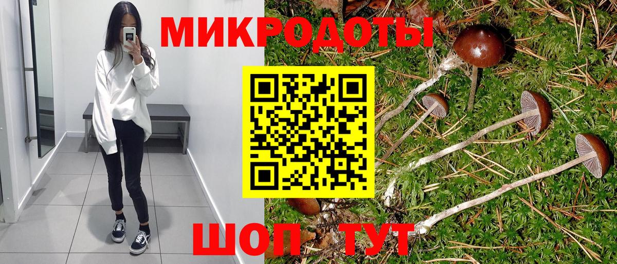 Псилоцибиновые грибы мицелий Кольчугино