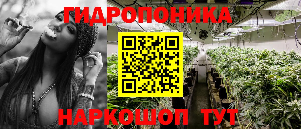 Кольчугино  Бошки Шишки LSD WEED  Вход с VPN  Шишки марихуана тримм  Бошки марихуана MAZAR  Конопля индика 